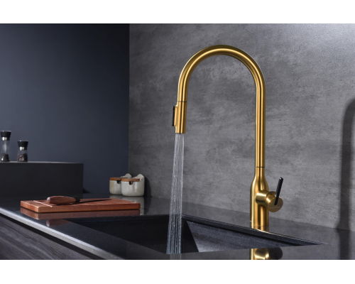 Смеситель для кухни Paulmark Universal Un213880-BG Брашированное золото