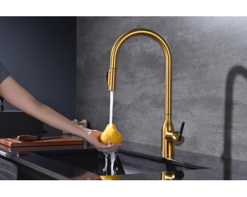 Смеситель для кухни Paulmark Universal Un213880-BG Брашированное золото