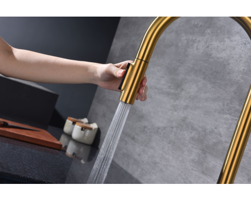 Смеситель для кухни Paulmark Universal Un213880-BG Брашированное золото