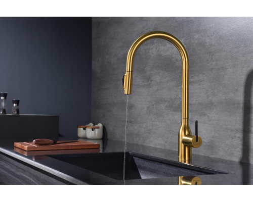 Смеситель для кухни Paulmark Universal Un213880-BG Брашированное золото