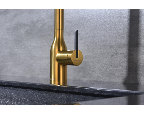 Смеситель для кухни Paulmark Universal Un213880-BG Брашированное золото