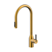 Смеситель для кухни Paulmark Universal Un213880-BG Брашированное золото