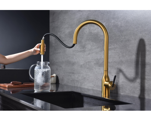 Смеситель для кухни Paulmark Universal Un213880-BG Брашированное золото