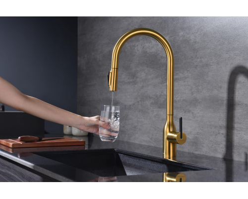 Смеситель для кухни Paulmark Universal Un213880-BG Брашированное золото