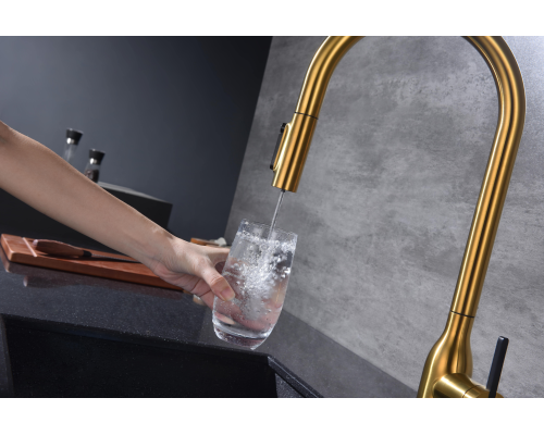 Смеситель для кухни Paulmark Universal Un213880-BG Брашированное золото