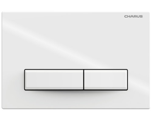 Кнопка смыва Charus Raiden FP.321.11.01 белый глянцевый