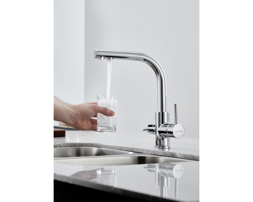 Смеситель для кухни Paulmark Essen Es213011-CR