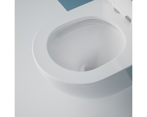 Подвесной унитаз Esbano Gardena-49T безободковый белый, смыв Торнадо