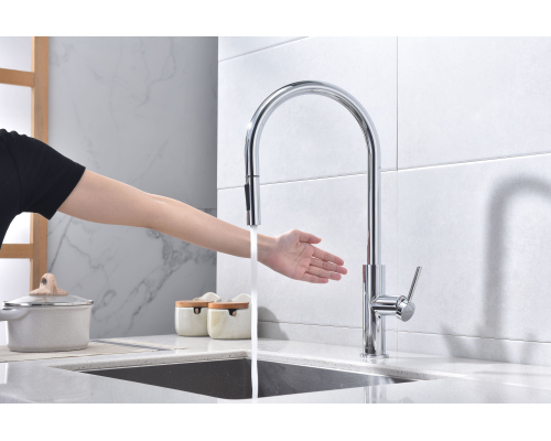 Смеситель для кухни Paulmark Senso Se215180-CR Хром