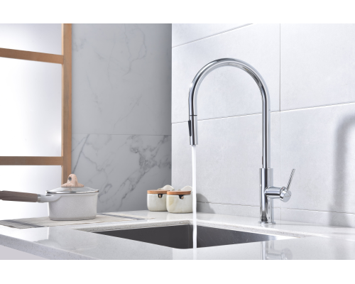 Смеситель для кухни Paulmark Senso Se215180-CR Хром