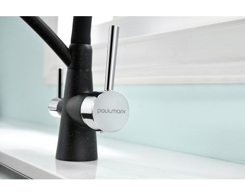 Смеситель для кухни Paulmark Sigen Si213111-308