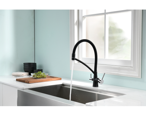 Смеситель для кухни Paulmark Sigen Si213111-308