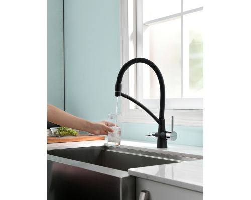 Смеситель для кухни Paulmark Sigen Si213111-308