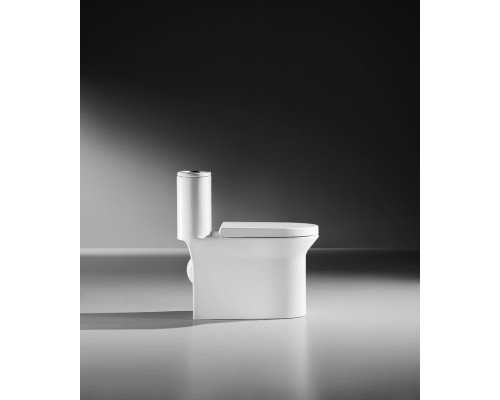 Монолитный унитаз напольный Arrow AB1802H белый