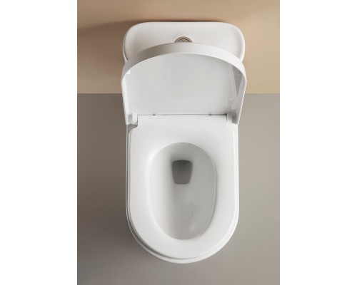 Монолитный унитаз напольный Arrow AB1802H белый