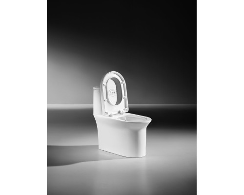 Монолитный унитаз напольный Arrow AB1802H белый