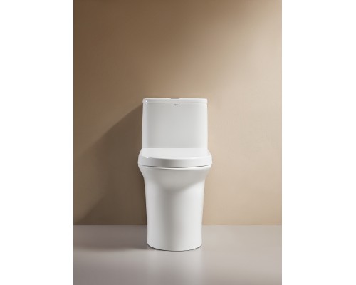 Монолитный унитаз напольный Arrow AB1802H белый