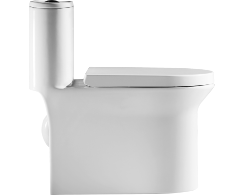 Монолитный унитаз напольный Arrow AB1802H белый