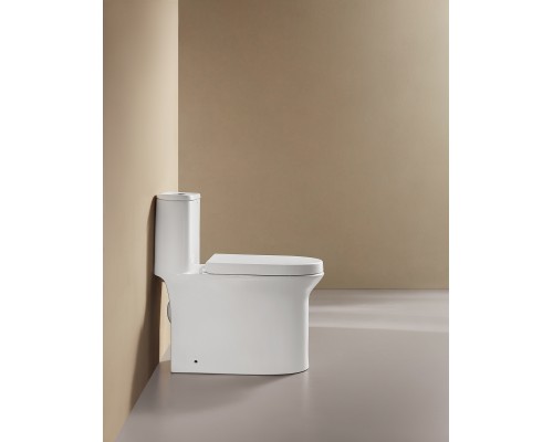 Монолитный унитаз напольный Arrow AB1802H белый