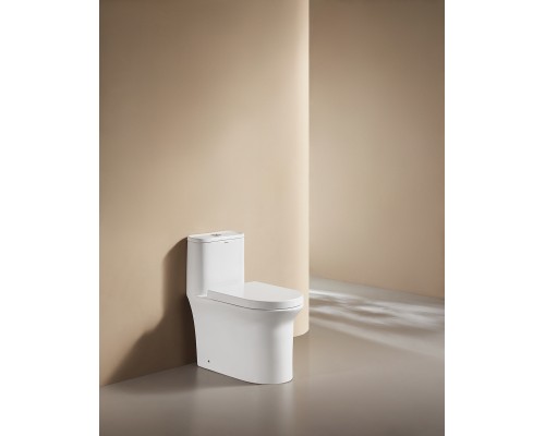 Монолитный унитаз напольный Arrow AB1802H белый