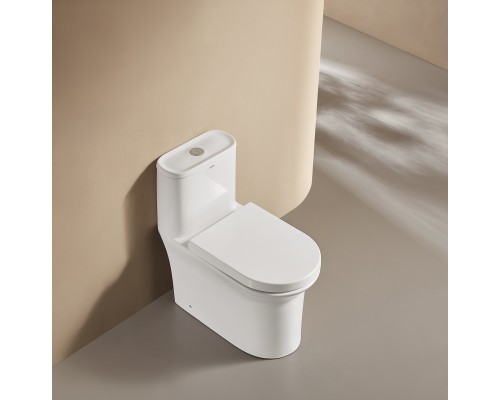 Монолитный унитаз напольный Arrow AB1802H белый