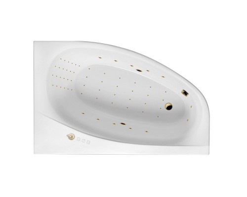 Ванна гидромассажная EXCELLENT Kameleon 170x110 R NANO золото
