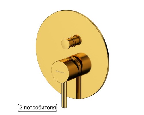 Смеситель для душа скрытого монтажа WHITECROSS Y Y1235GL золото