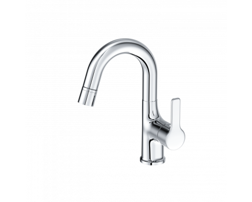 Смеситель для раковины с выдвижным изливом Wonzon&Woghand, Хром