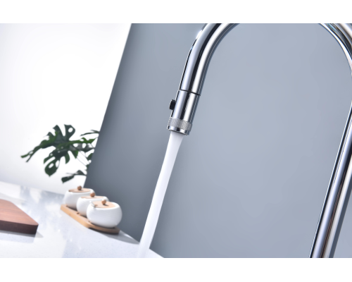 Смеситель для кухни Paulmark Galant Ga213077-CR Хром