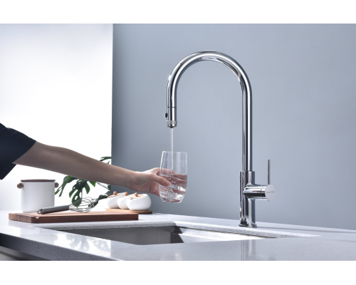 Смеситель для кухни Paulmark Galant Ga213077-CR Хром