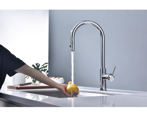 Смеситель для кухни Paulmark Galant Ga213077-CR Хром