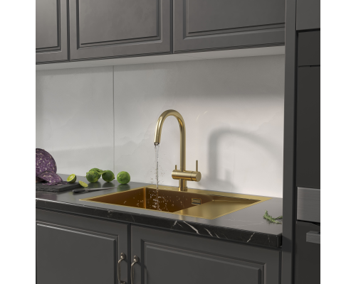 Кухонная мойка Reflexion Maggiore RX2365GD брашированное золото