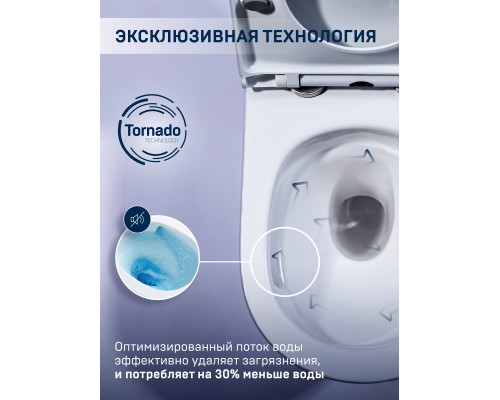 Безободковый подвесной унитаз Charus Estello Tornado EWC700-121WТ сиденьем микролифт