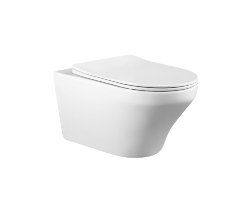 Безободковый подвесной унитаз Charus Franz D EWC700-124W сиденьем микролифт