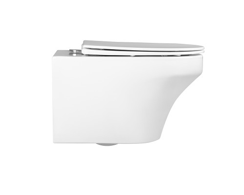 Безободковый подвесной унитаз Charus Franz D EWC700-124W сиденьем микролифт