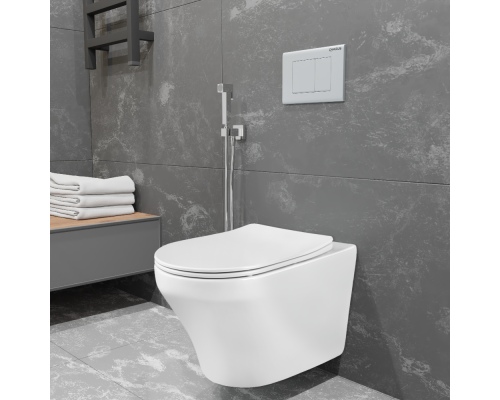 Безободковый подвесной унитаз Charus Franz D EWC700-124W сиденьем микролифт