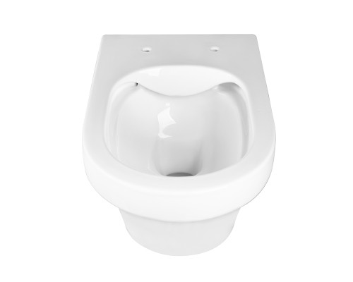 Безободковый подвесной унитаз Charus Franz D EWC700-124W сиденьем микролифт