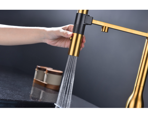 Смеситель для кухни Paulmark Magneto One Ma213188-BG Брашированное золото