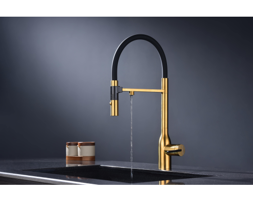 Смеситель для кухни Paulmark Magneto One Ma213188-BG Брашированное золото