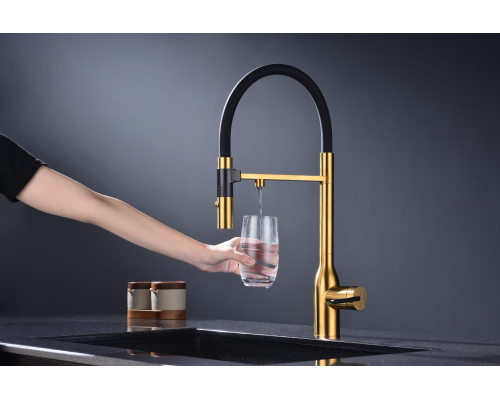 Смеситель для кухни Paulmark Magneto One Ma213188-BG Брашированное золото