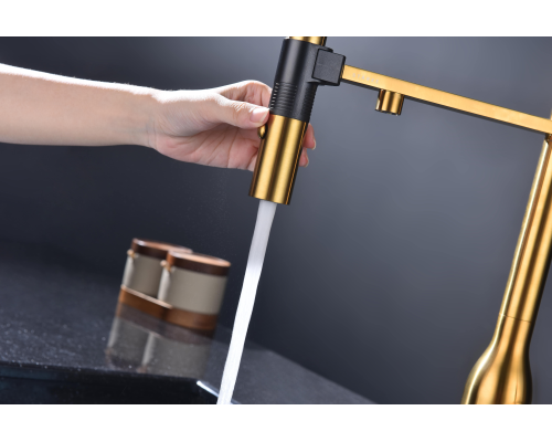 Смеситель для кухни Paulmark Magneto One Ma213188-BG Брашированное золото