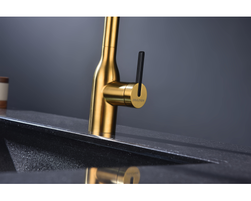 Смеситель для кухни Paulmark Magneto One Ma213188-BG Брашированное золото