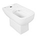 Унитаз компакт BelBagno Aurora BB8604CPR/SC без бачка с сиденьем Микролифт