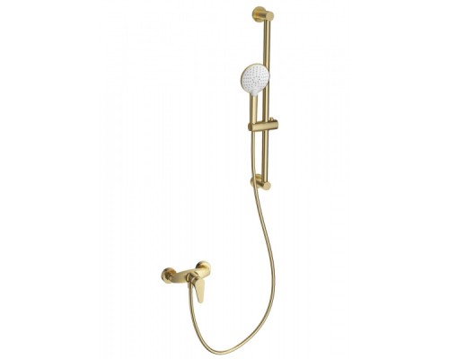 Смеситель для душа с гарнитуром Wonzon&Woghand, Брашированное золото