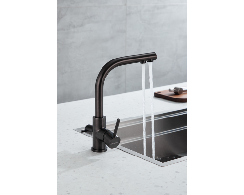 Смеситель для кухни Paulmark Essen Es213011-GM