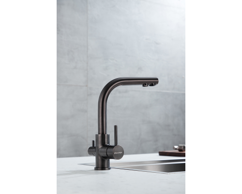 Смеситель для кухни Paulmark Essen Es213011-GM