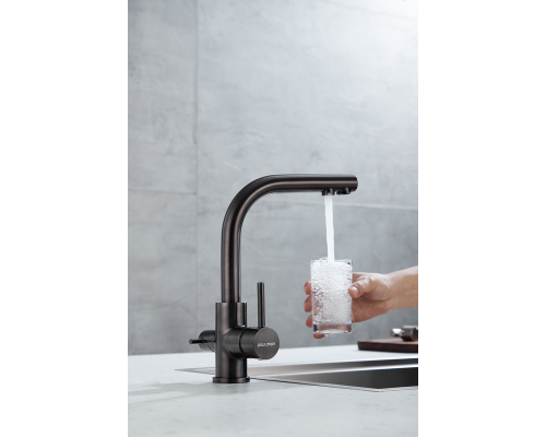 Смеситель для кухни Paulmark Essen Es213011-GM