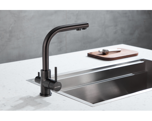 Смеситель для кухни Paulmark Essen Es213011-GM