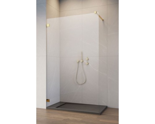 Душевая перегородка Essenza Pro Gold Walk-in 160