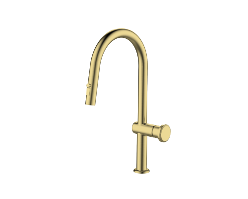 Смеситель для кухни с выдвижным изливом ALTROBAGNO Рикко (Ricco) 050210 BG